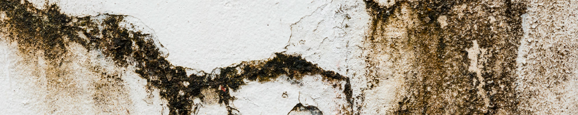 Mauerabdichtung: Von Außen drückendes Wasser, Abdichtung, Mauerwerks Verfestigung, uvm.