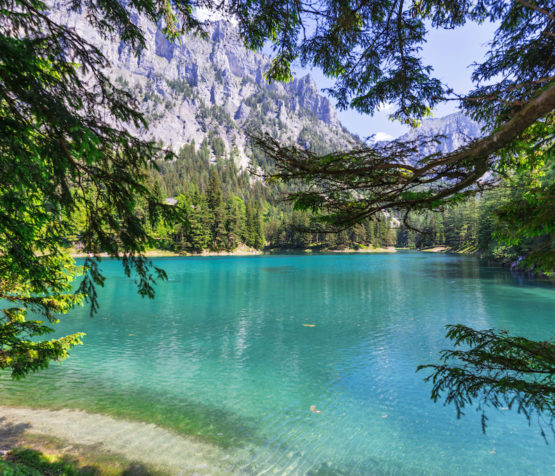 Grüner See, Tragöss